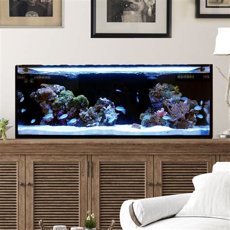 Best 30 gallon fish tank - Best for: Saltwater. The Nuvo Fusion Pro 2 is a serious piece of kit for anyone looking to start a 40 gallon marine tank. It’s cube-shaped base measures 23.62 x 19.68 inches, so you can fit it in more awkward places like the corner of a room, where a regular rectangular tank wouldn’t fit.